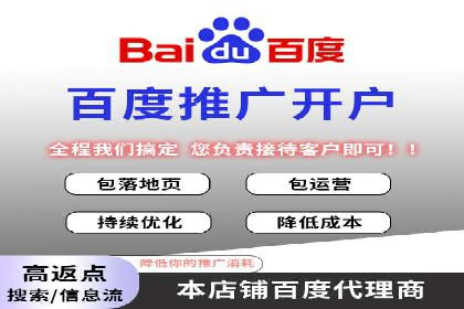 SEO与百度推广结合的营销策略——经典案例解析